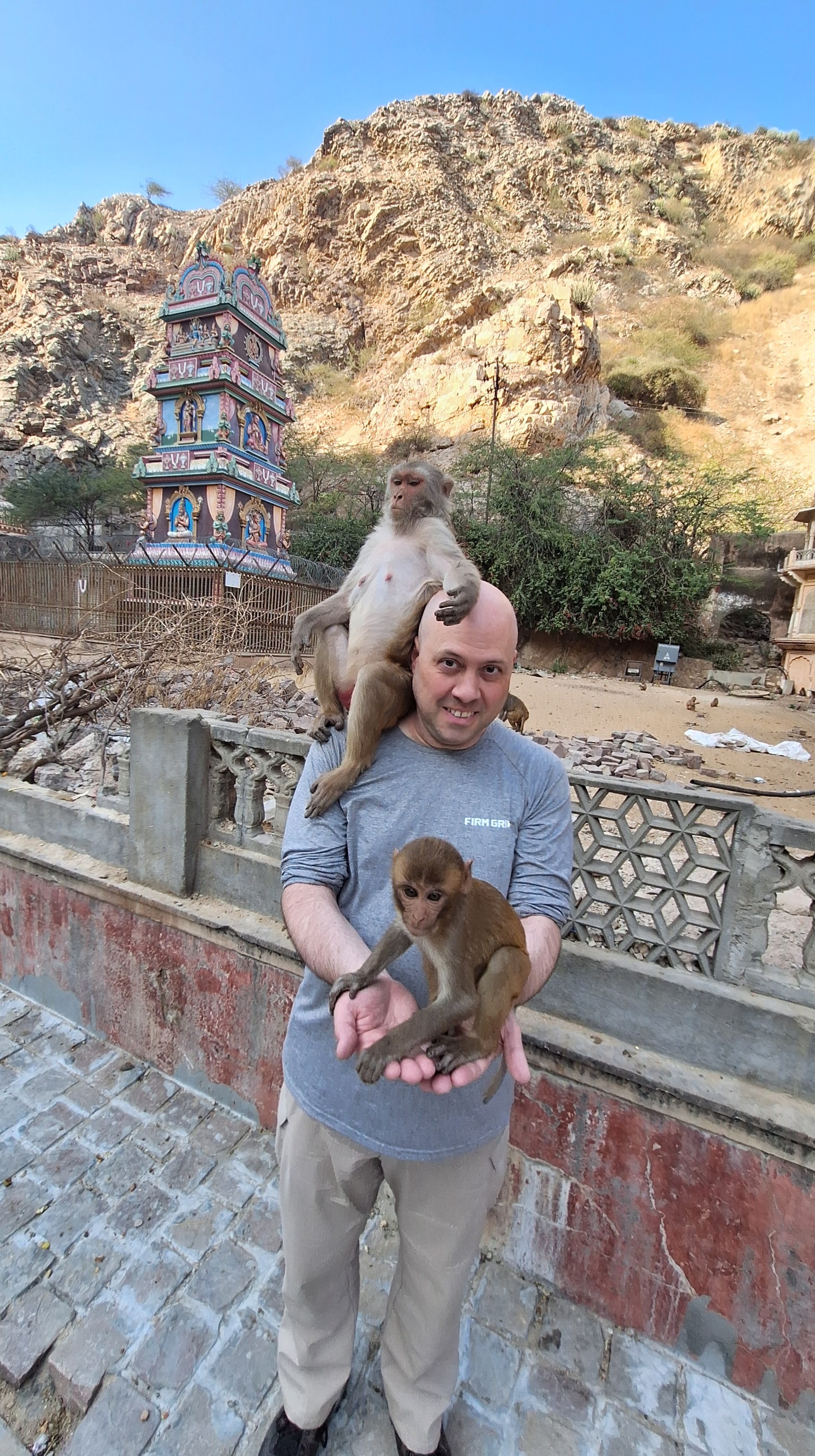 A man in a gray shirt holds a juvenile rhesus macaque in his outstretched hands while a second macaque sits on his shoulder, at the Galtaji temple complex in Jaipur, India. A colorfully painted Hindu temple tower and rocky hillside are visible in the background.